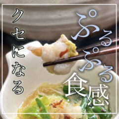 #13 chatGPTに聞いた、もつ鍋にオススメの具材10選